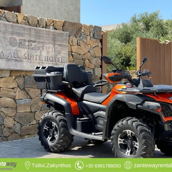 Zanteway rentals