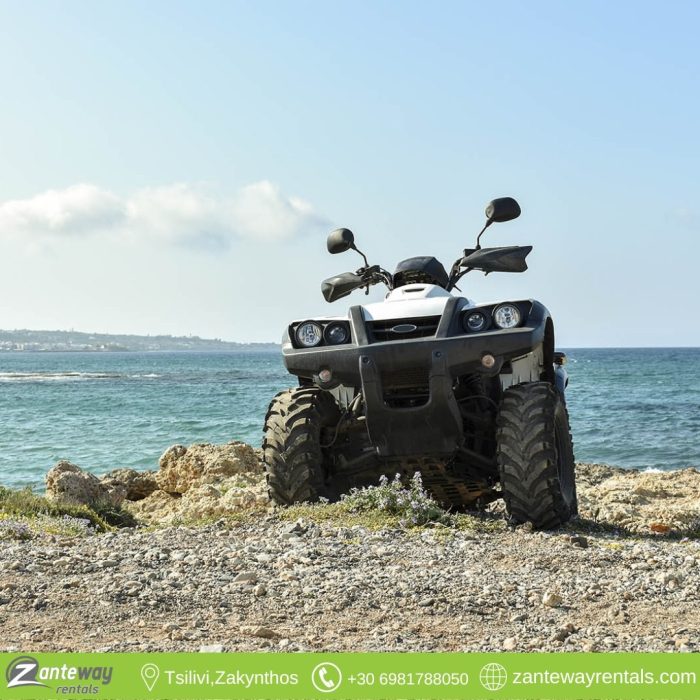 Zanteway rentals
